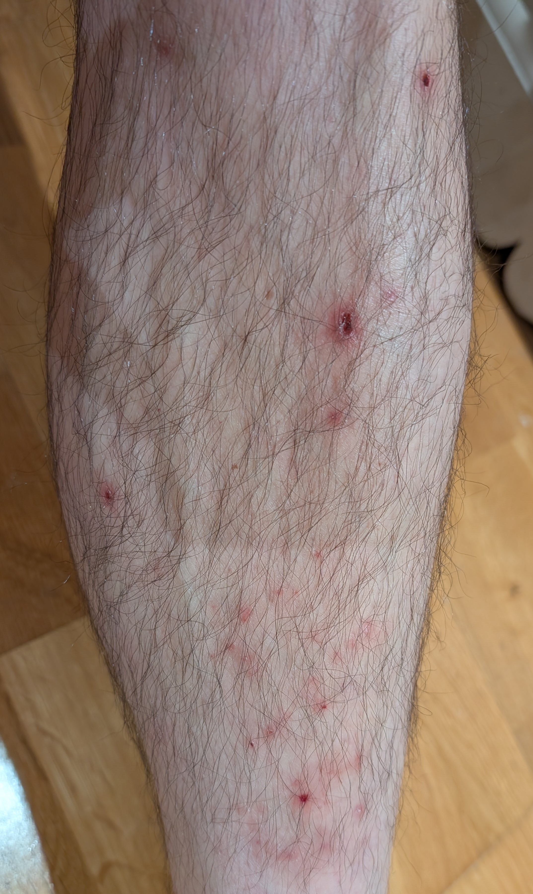 Corbigoe Hotel Pimlico reviews